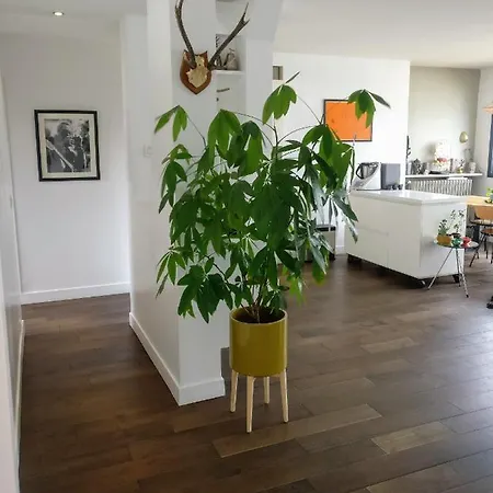 شقة Bright Spacious Architects' Apt Near Park, With Terrace, View Of Sacre Coeur, Baby Ok! باريس